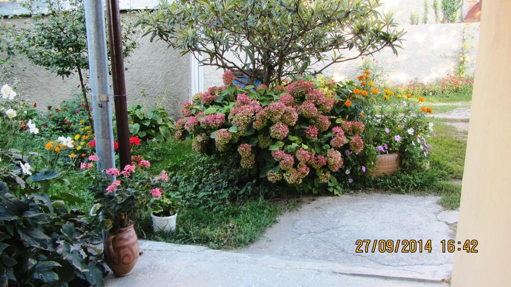 Tinikos Guest House Telavi Eksteriør billede
