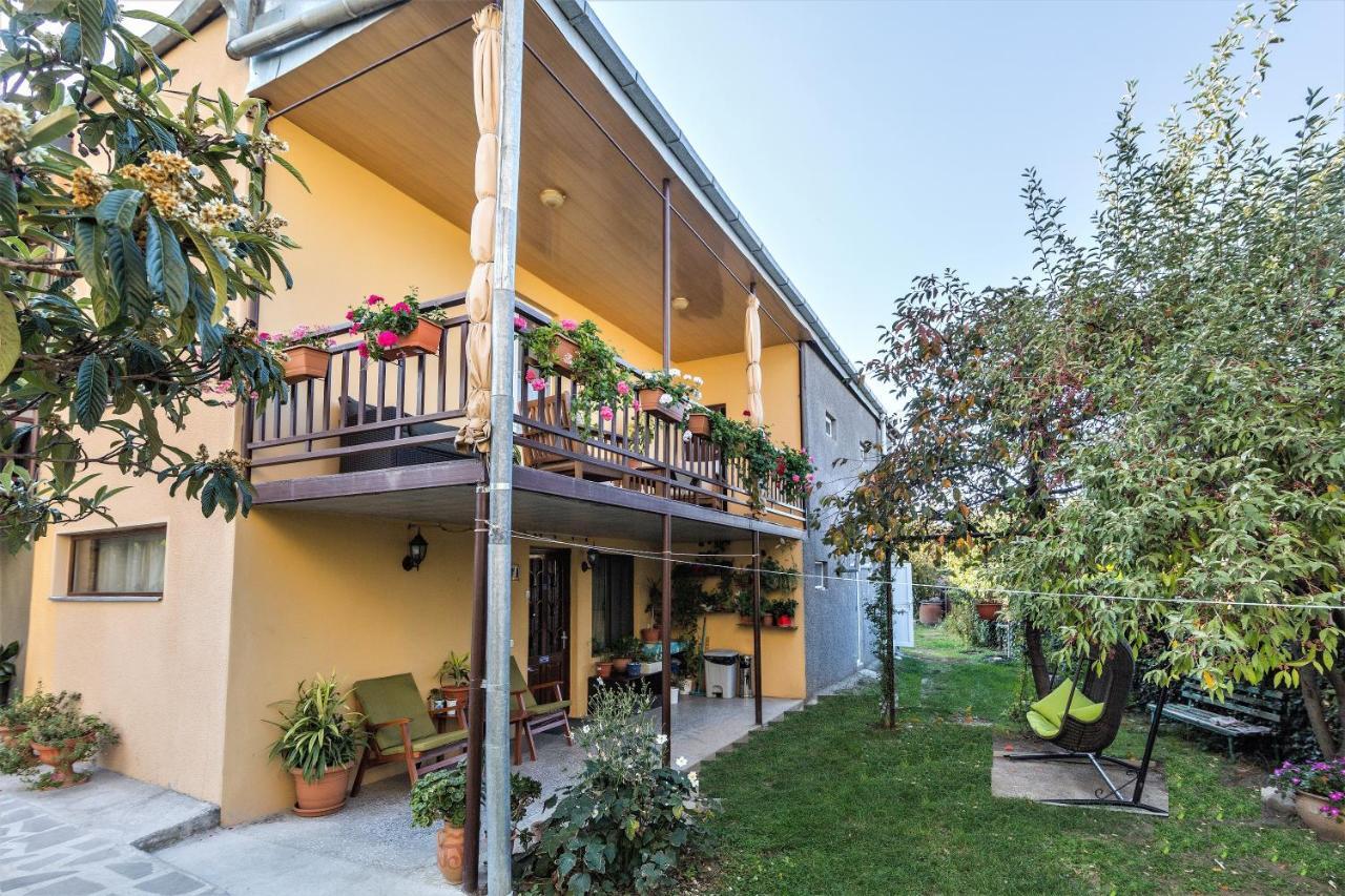 Tinikos Guest House Telavi Eksteriør billede