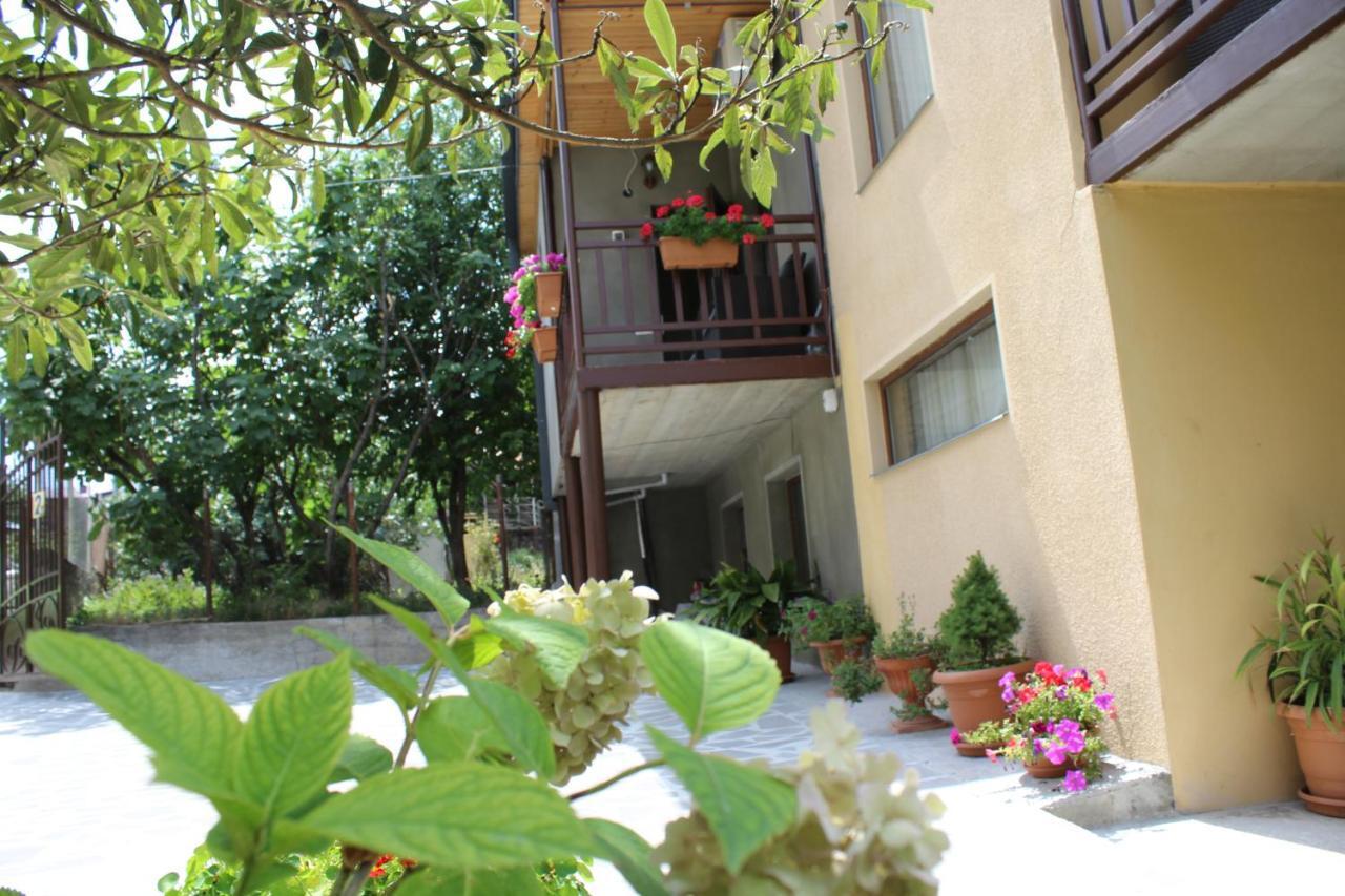 Tinikos Guest House Telavi Eksteriør billede