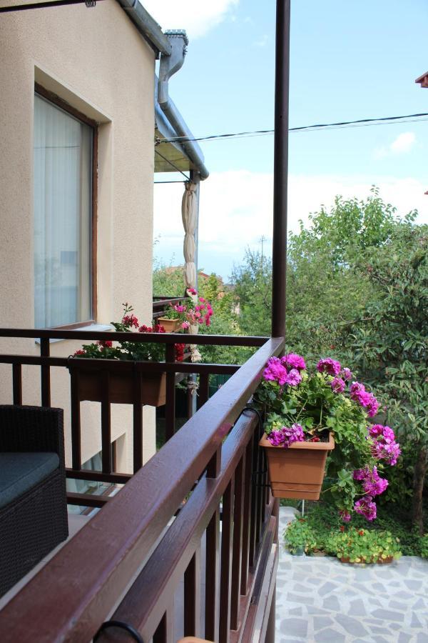 Tinikos Guest House Telavi Eksteriør billede